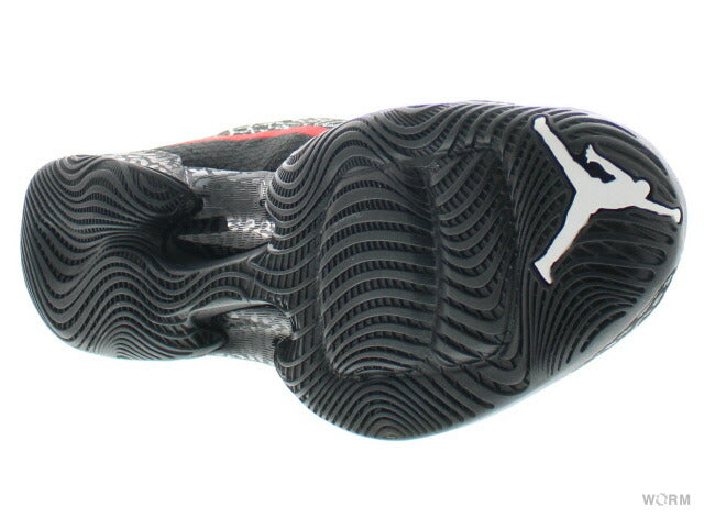 【US11】 AIR JORDAN 29 695515-023 【DS】