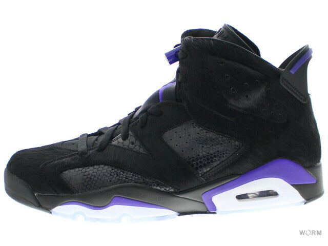 【US7.5】 AIR JORDAN 6 RETRO SP AR2257-005 【DS】