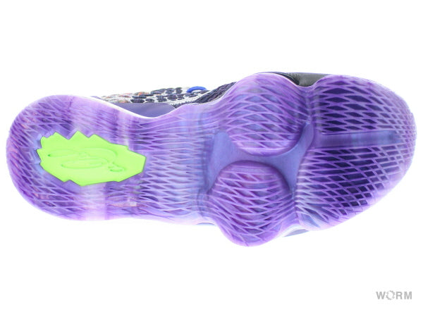 【US10.5】 NIKE LEBRON 17 WTW WHAT THE CV8079-900 【DS】