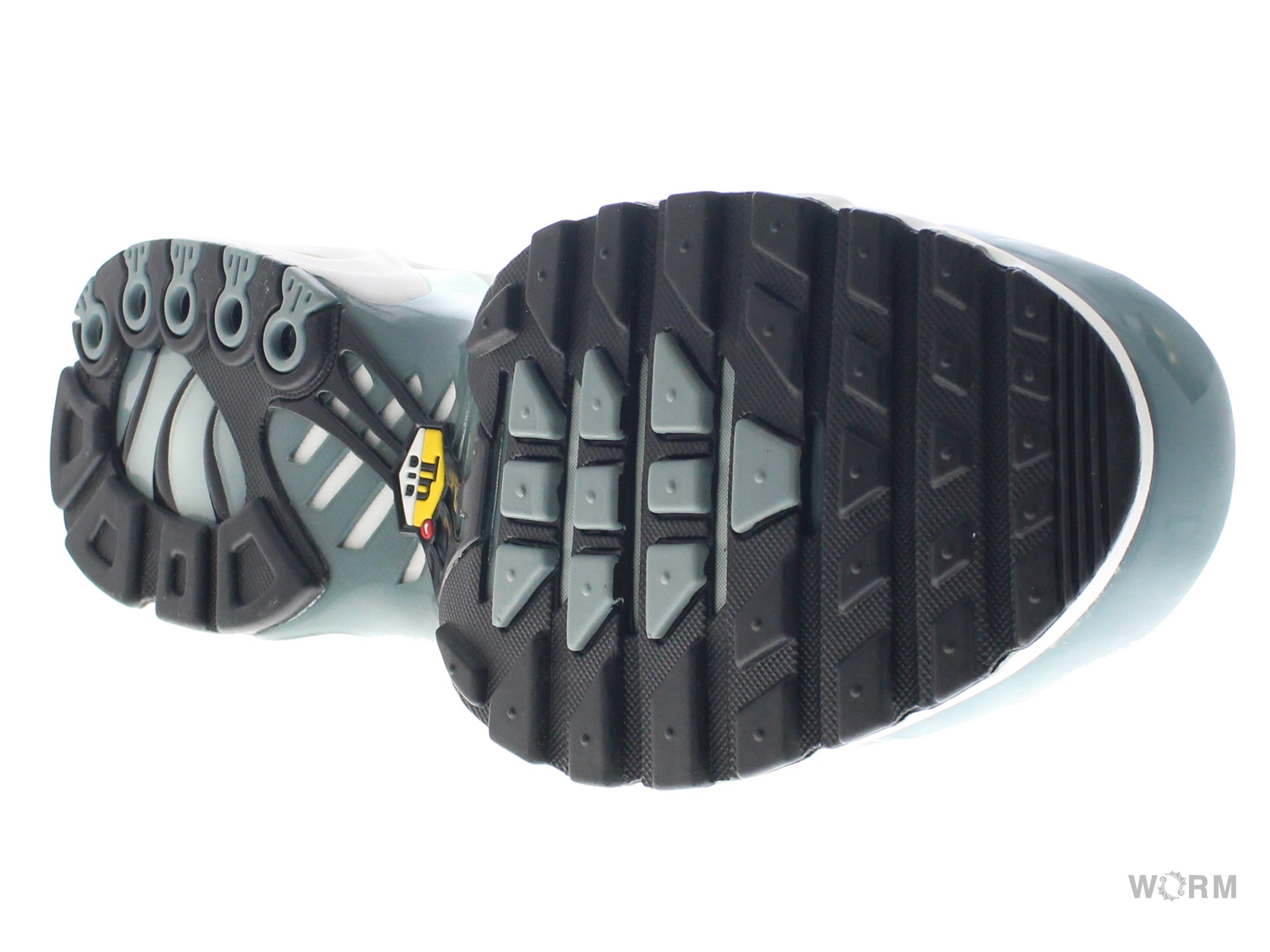 【US12】 NIKE AIR MAX PLUS FV0394-300 【DS】-WORM TOKYO-WORM TOKYO WEB STORE-100% Authentic Sneakers