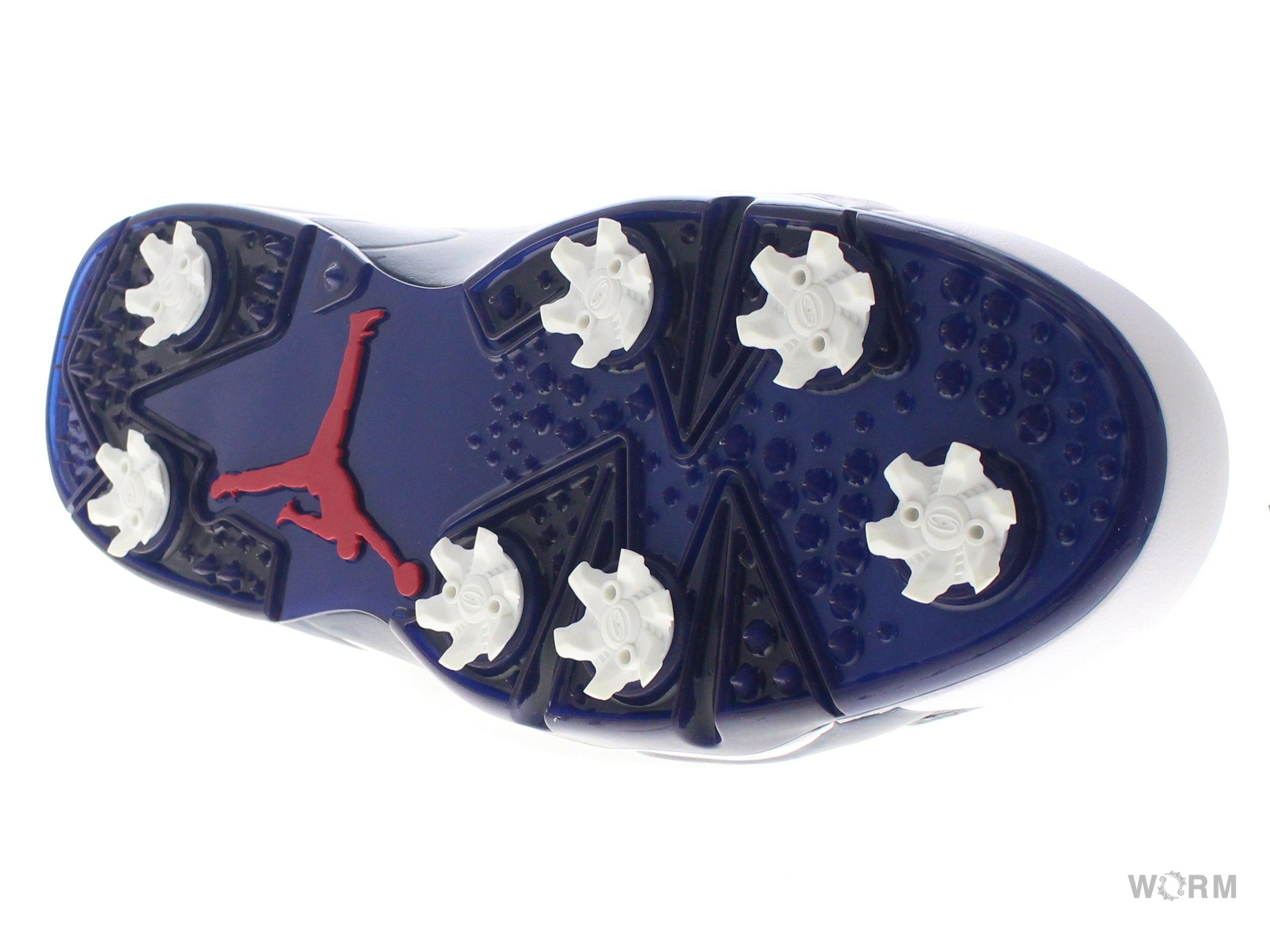 【US11.5】 AJ RETRO 6 G DV1376-101 【DS】