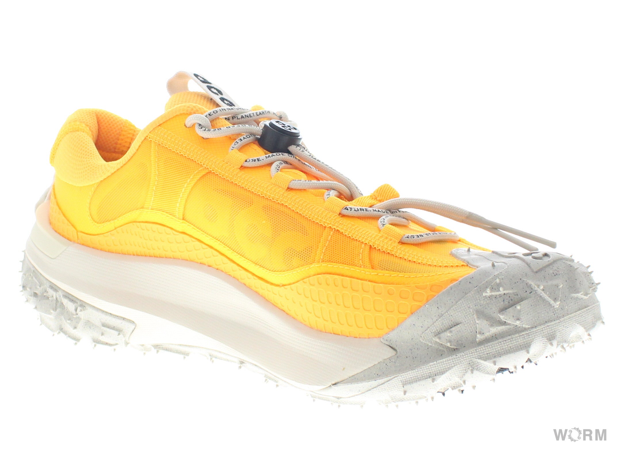 【US8】 NIKE ACG MOUNTAIN FLY 2 LOW DV7903-800 【DS】