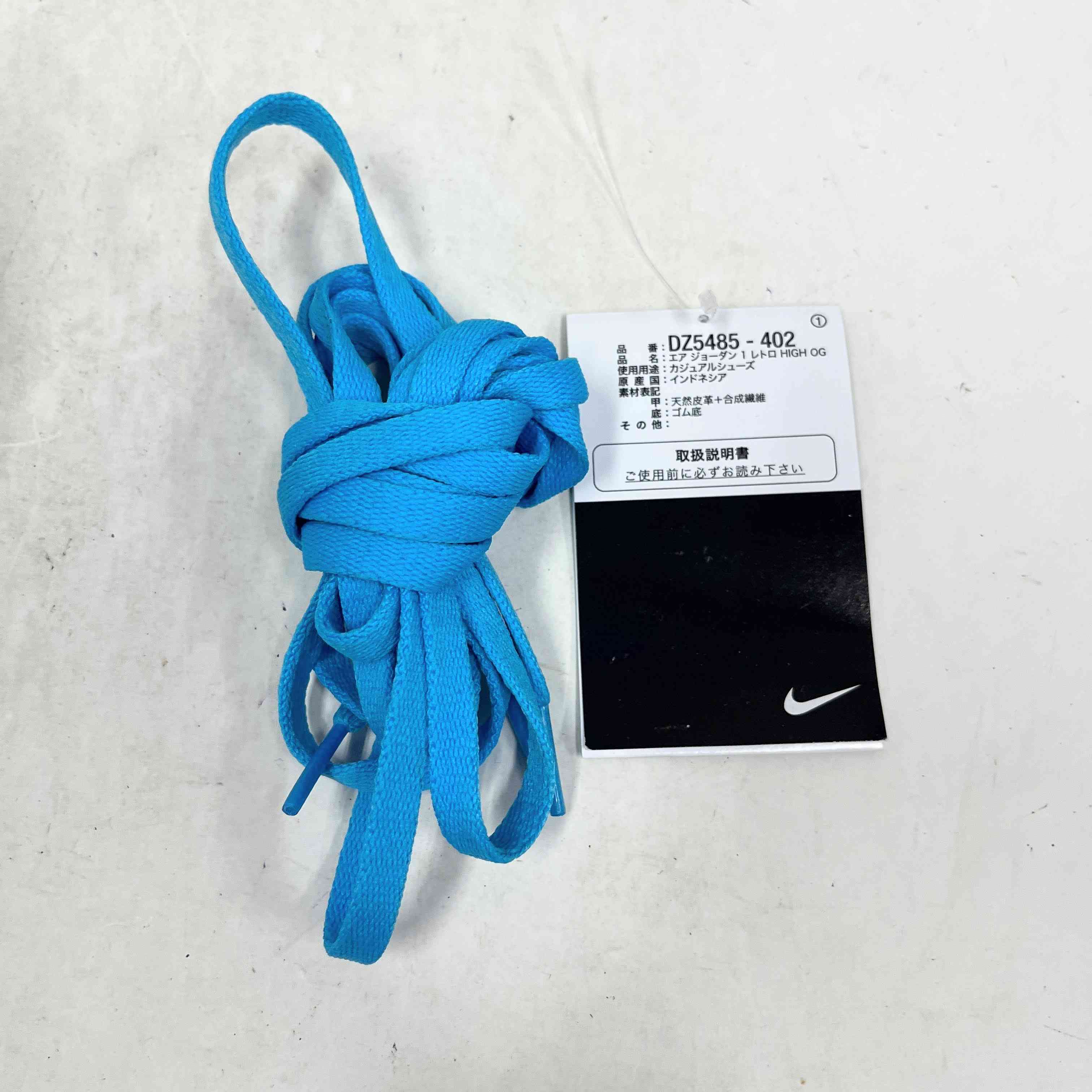 【US11.5】 AIR JORDAN 1 RETRO HIGH OG DZ5485-402 【USED】