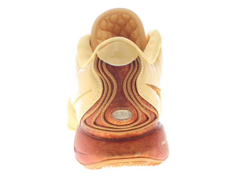 【US9.5】 NIKE LEBRON XXI EP Melo Melo FV2346-800 【DS】