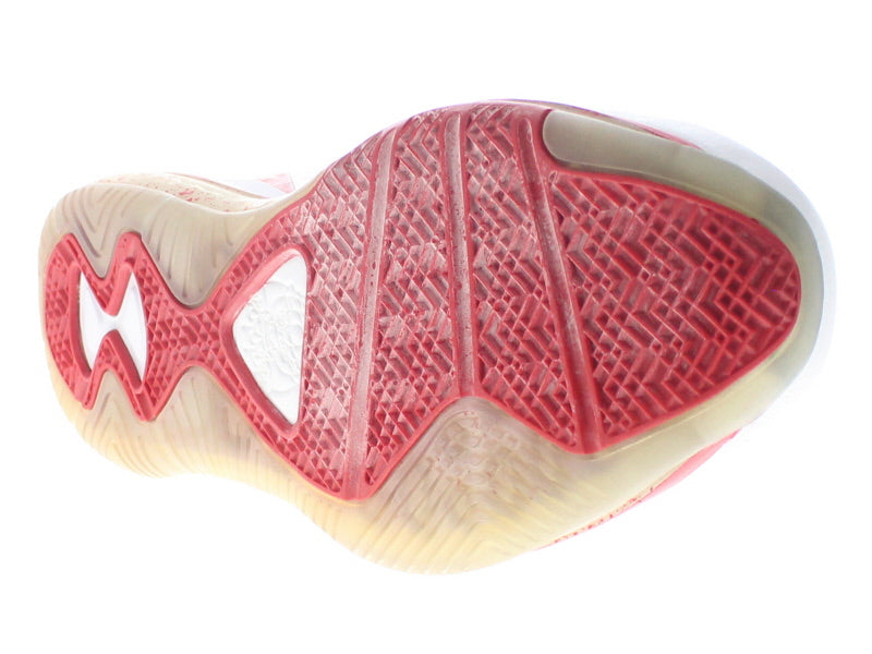 【US10.5】 NIKE LEBRON 8 417098-101 【DS】