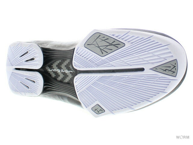 【US8.5】 AIR JORDAN 2009 343084-161 【DS】