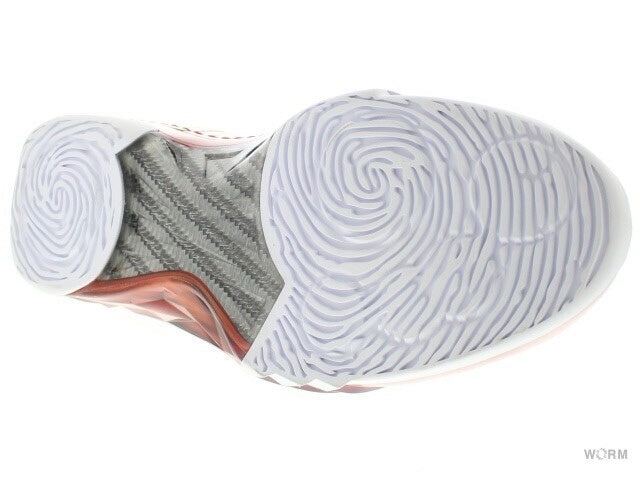 【US10】 AIR JORDAN 23 318376-161 【DS】