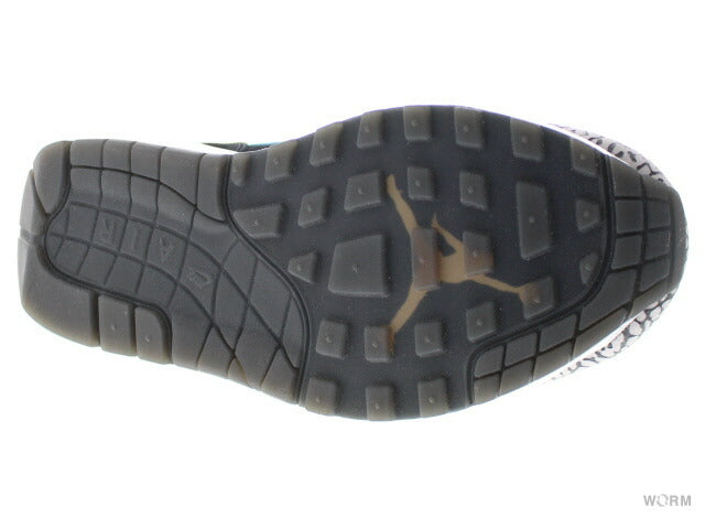【US7.5】 AIR JORDAN X MAX PACK 923098-900 【DS】