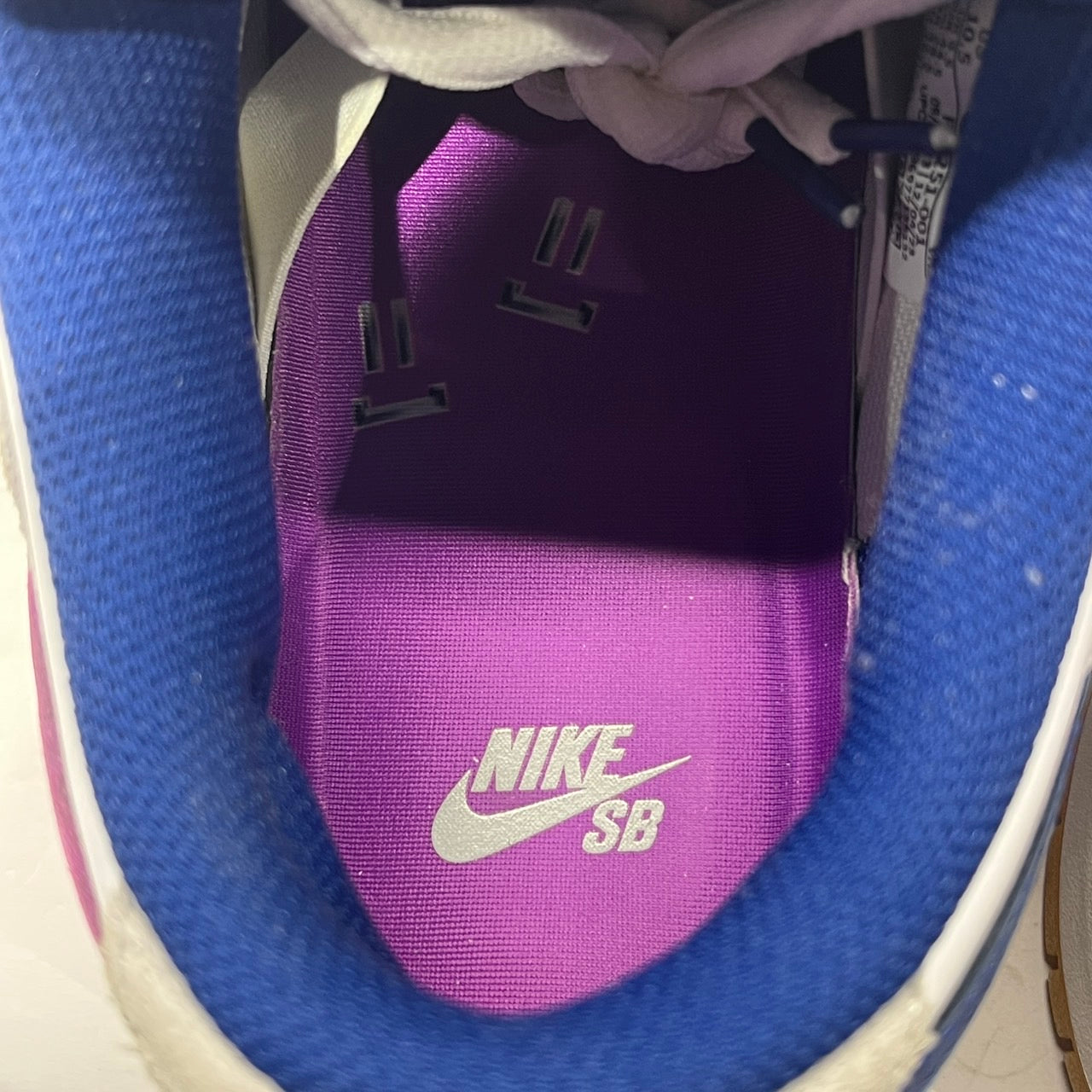 【US10.5】 NIKE SB SB DUNK LOW PRM RL FZ5251-001 【USED】