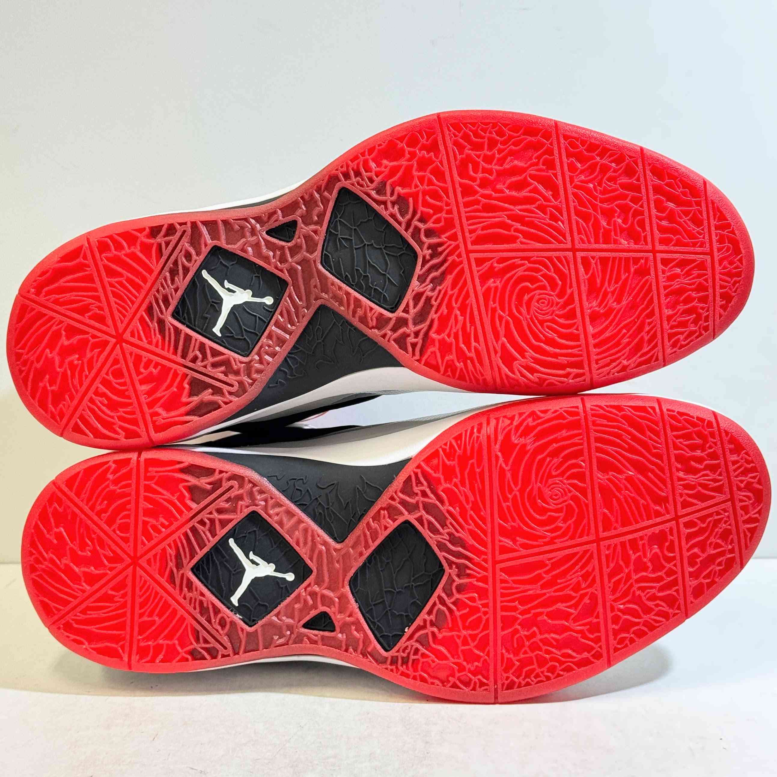【US10】 JORDAN FLY WADE 429486-601 【DS】
