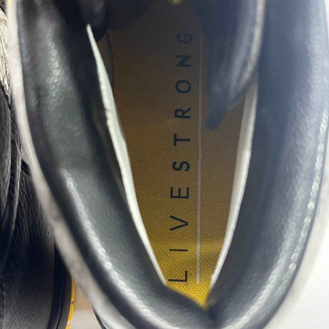 【US8.5】 NIKE DUNK HIGH SUPREME TZ LAF LIVESTRONG/FUTURA 378127-001 【USED】