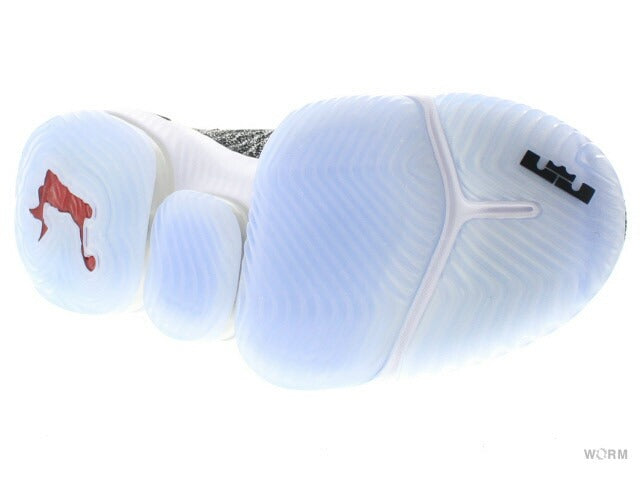 【US13】 NIKE LEBRON 36 AO2588-006 【DS】