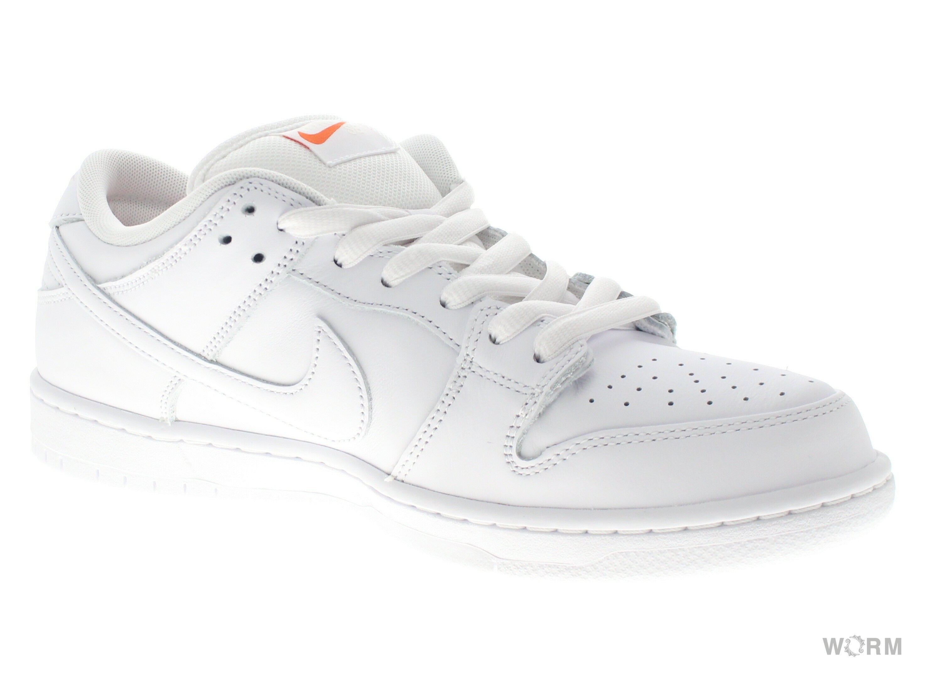 NIKE SB SB DUNK LOW PRO FJ1674-100 【DS】