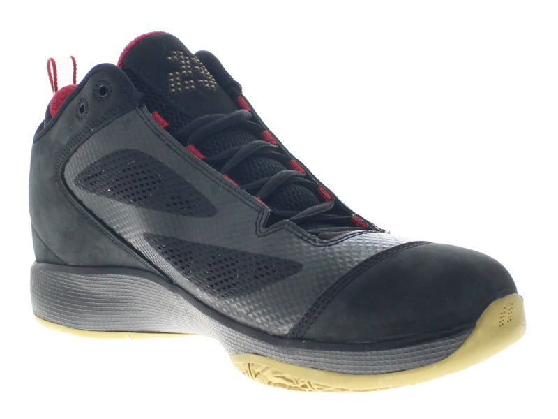 【US10】 JORDAN 2010 Q FLIGHT 454486-008 【DS】