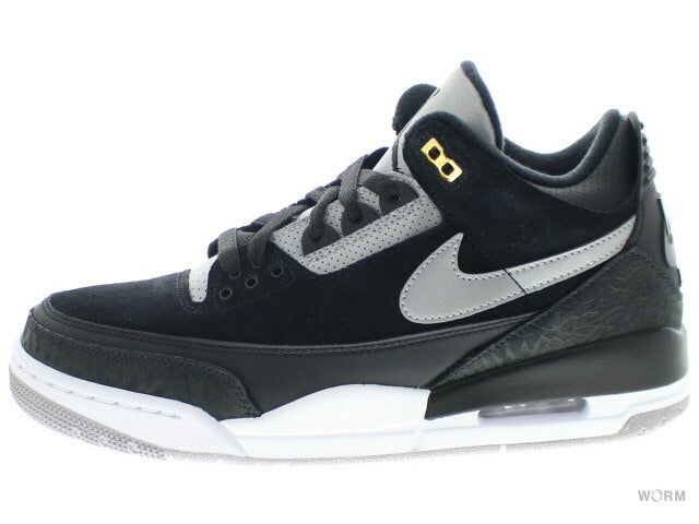 【US10】 AIR JORDAN 3 RETRO TH CK4348-007 【DS】