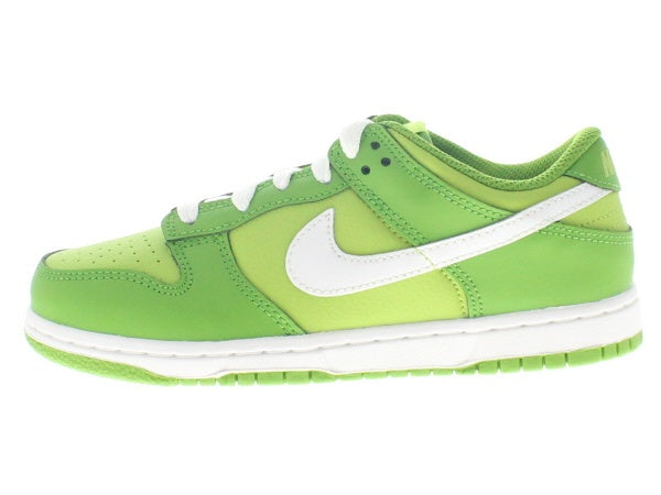 【US2Y】 NIKE DUNK LOW (PS) DH9756-301 【DS】